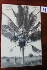 Cartolina Postale Colonie