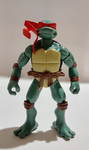 Teenage mutant ninja turtles - ninja,