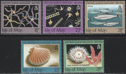 1992 isola man - 1992,