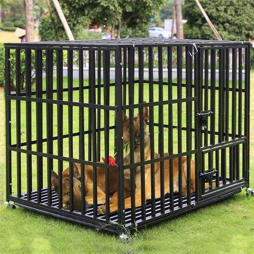 Gabbia per cani xxl - gabbia,