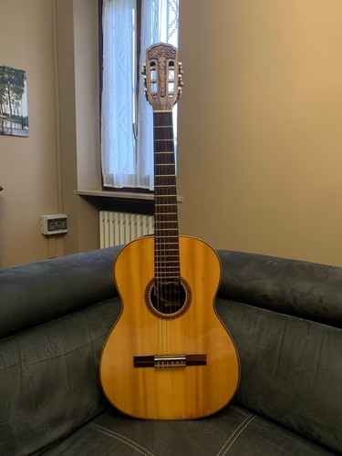Chitarra giannini awn - chitarra,