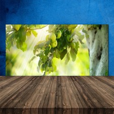 120x60 Paraschizzi in Vetro