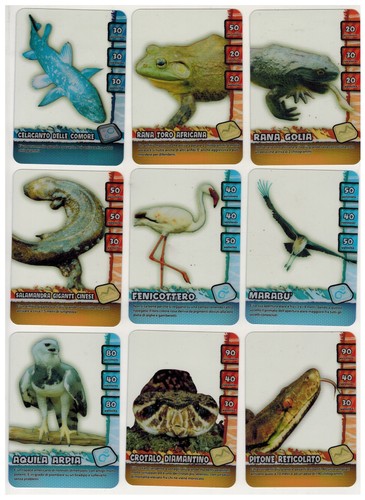 Wild oltrenatura lotto - wild,