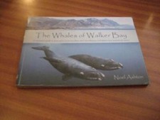 THE WHALES OF WALKER BAY BY NOEL ASHTON WESTERN CAPE SOUTH AFRICA