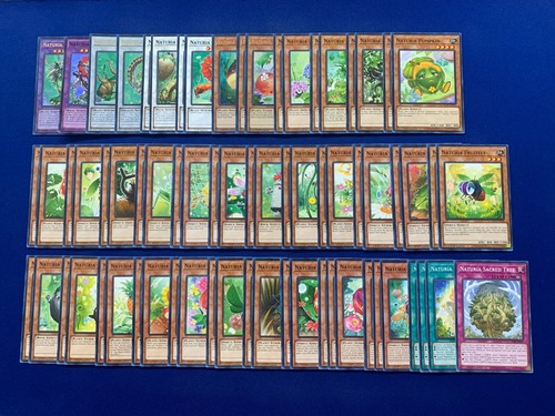 Mazzo completo - yu-gi-oh!,
