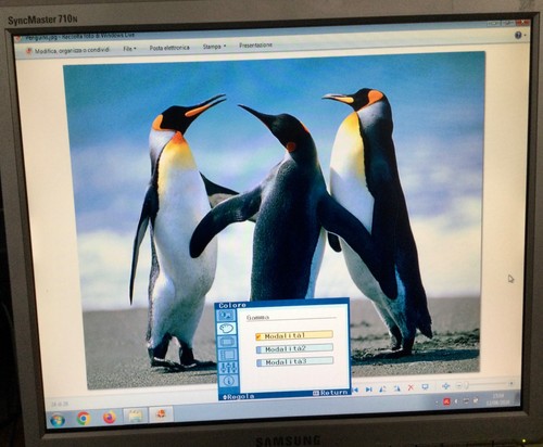 Monitor 17 pollici e - 17,