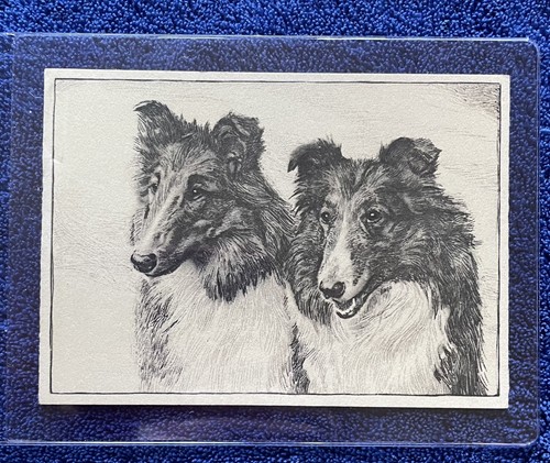 Ardath dog studies 1938 firms - ardath, (firms
