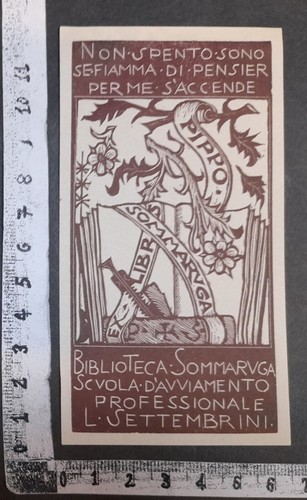 Wunderkammer exlibris 380 - wunderkammer,