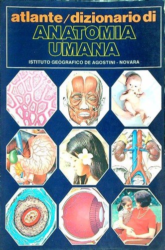 Atlante dizionario anatomia - atlante, di