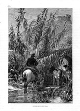 Stampa antica CAMPAGNA DI ROMA