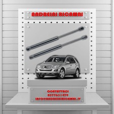 2 MOLLE A GAS BAGAGLIAIO