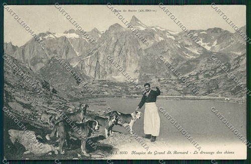 Aosta gran san bernardo - gran,