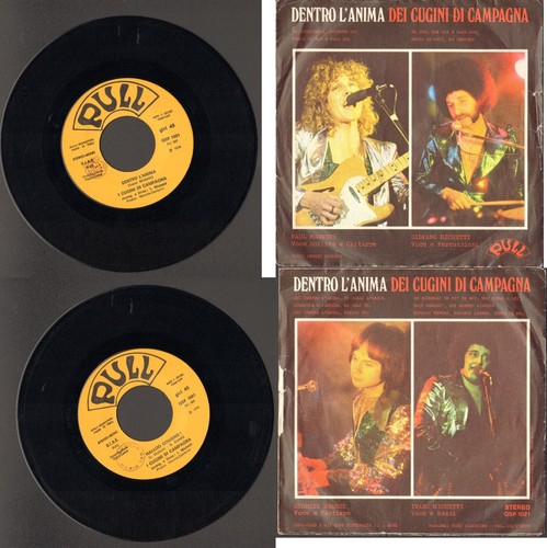 Vinile cugini campagna - vinile,