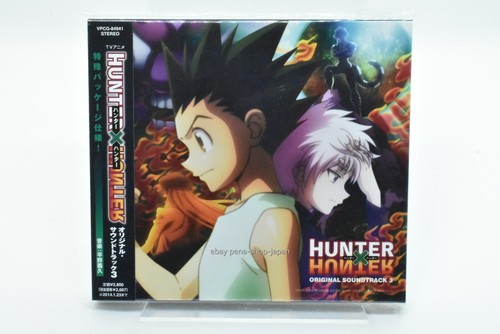 Anime hunter - x, hunter"