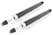 Coppia Ammortizzatori a Gas