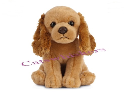 Sitting cocker spaniel - cocker,