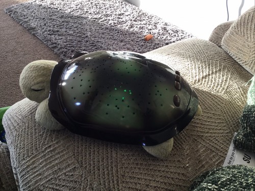 Cloud twilight turtle - cloud, b