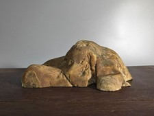 Bonsai di Suiseki cinese