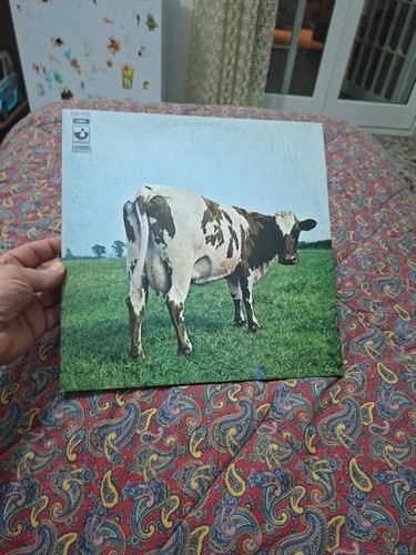 Vinile pink floyd - lp, atom