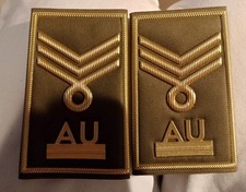 gradi militari Allievo Ufficiale Capocorso