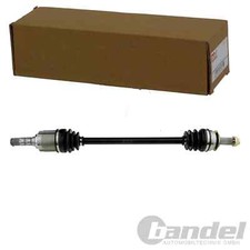 ALBERO MOTORE NTY ANTERIORE