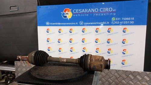 Semialbero ant compl dx - ant.,