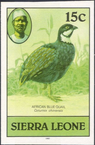 Sierra leone 1983 - sierra,