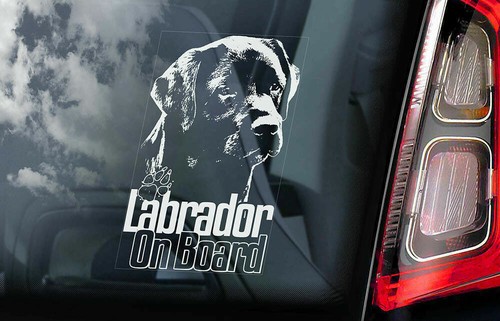 Labrador adesivo auto cane - labrador,