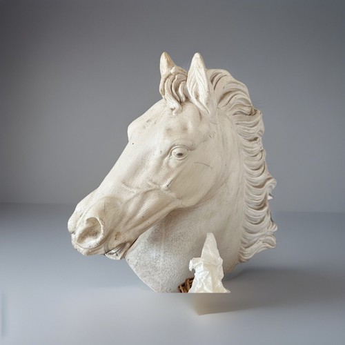 Statua testa cavallo - testa,