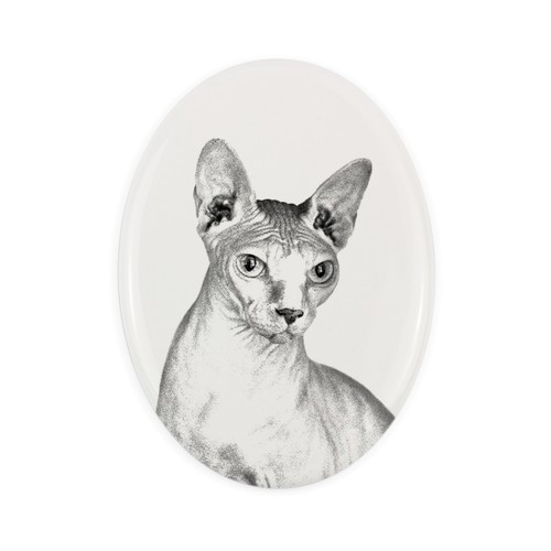 Sphynx lapide con - foto, di