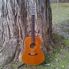 Chitarra acustica folk seagull - folk,