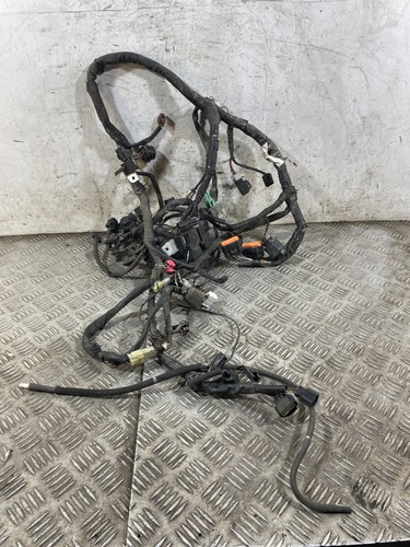 116279 cablaggio impianto - 116279,
