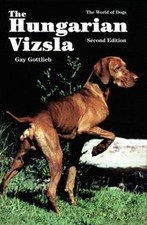 Hungarian Vizsla by Gay