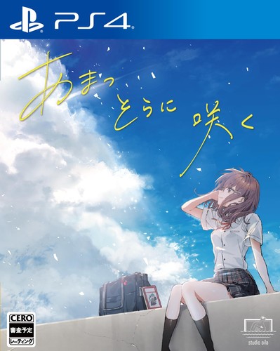 Ps4 videogioco - (giappone),