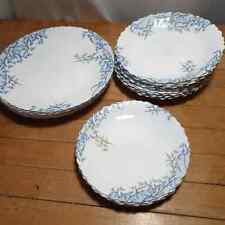 Luminarc Arcopal France Aliya