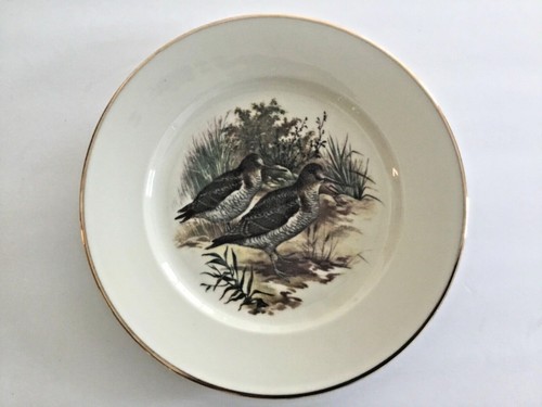 Piatto pranzo vintage - piatto,