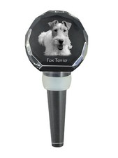 Fox Terrier Drahthaar Spesso