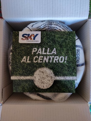 Pallone sky mondiale - sky, germania