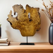 Decorazione Scultura Radice