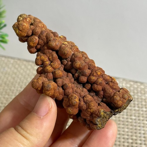 Campione minerale pietra di - minerale,