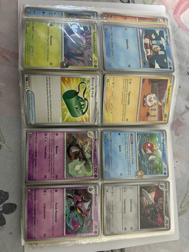 Raccoglitore carte pokemon - raccoglitore,