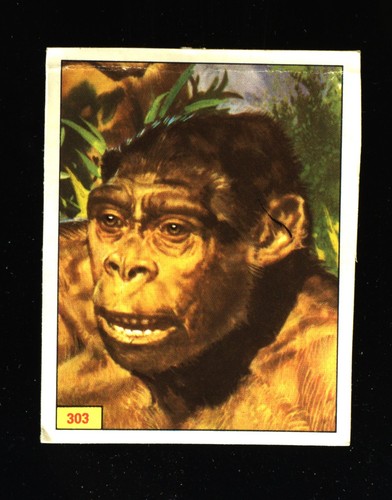 Animali preistorici - preistorici, (1974)