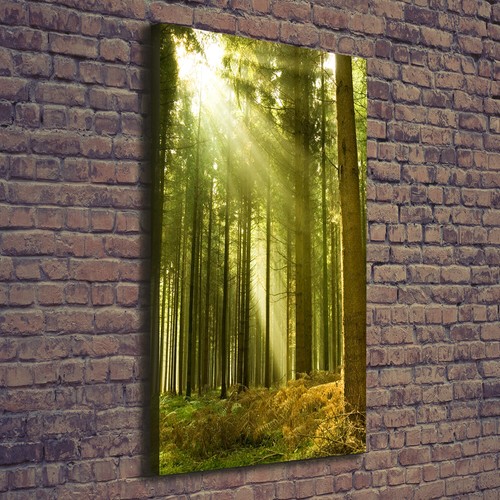 Quadro tela stampa - su,