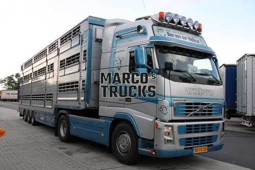 Foto camion volvo fh16 550 - foto,