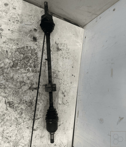 46308161 semialbero ant - 46308161,