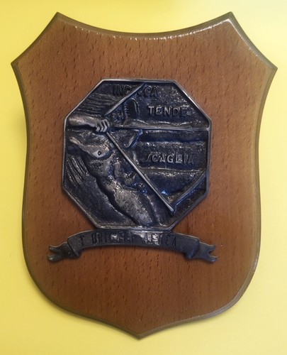 Crest aerobrigata aerea - crest,