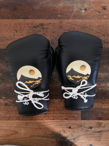 Guanti boxe tigrao premium - da,