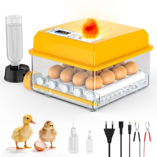 Incubatrice per uova - incubatrice,