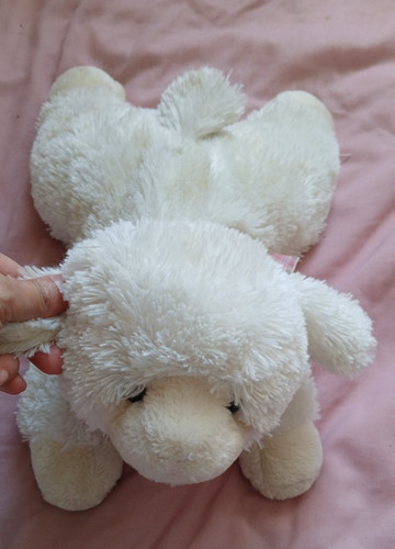 Peluche peluche giocattolo