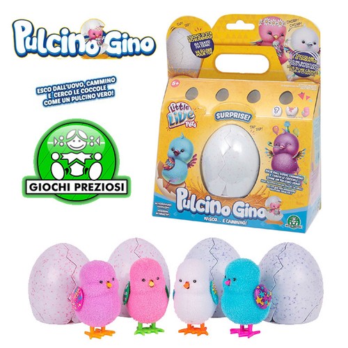 Live pets gino pulcino - live,